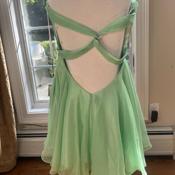 AlyceParis Mint Green Party dress size 12 - Picture 10 of 16